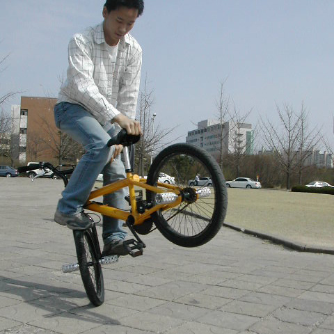 Riding a BMX bike